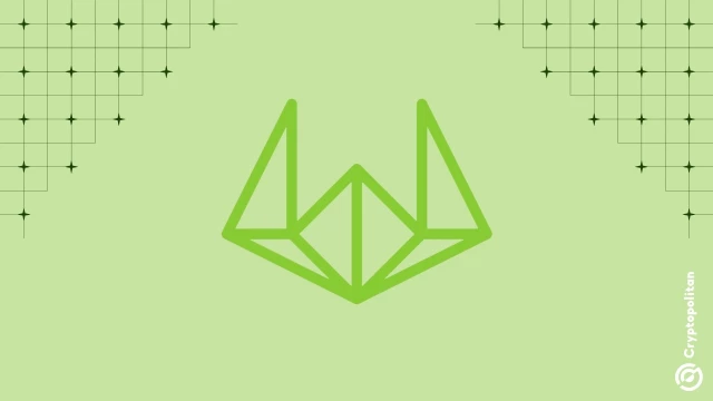 Bitcoin dominance rises amid market volatility, Wintermute says