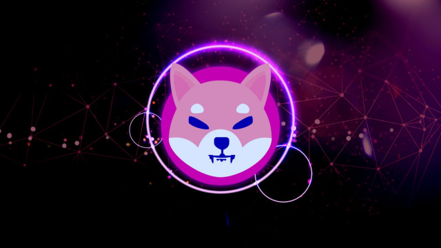 9/10 Shiba Inu (SHIB) Indicators Are in Green, But There's a Catch