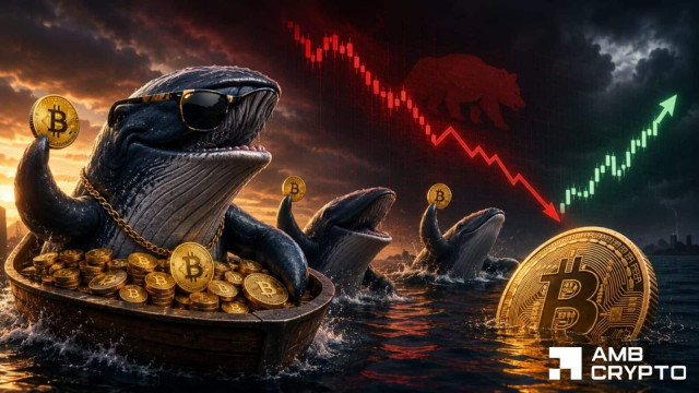 Pemantulan Bitcoin dari $59K ditahan? Penjualan ikan paus dan momentum bearish menunjukkan hal ini