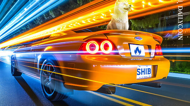 SHIB Burn Of The Year: Coinbase Lone Wolf Torches 140M