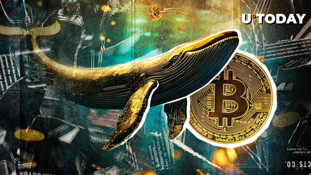 Dormant Bitcoin Whale Returns With $35 Million BTC Transfer After 12.4 years