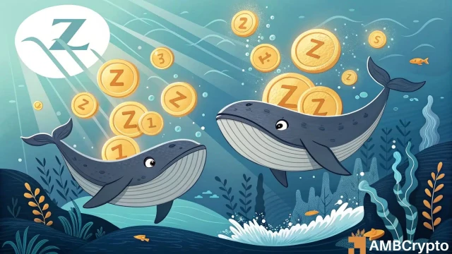 Zcash: Analyzing why ZEC still risks a price drop toward $301