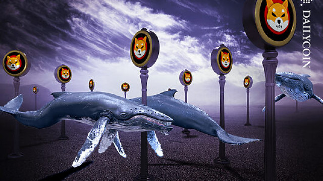 3T SHIB Snagged By Coinbase Whale: One-Shot Or Hot Trend?