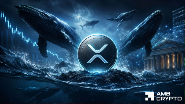 XRP's million-token wallets climb 32 as market cap falls 29%: Can whales absorb price weakness?
