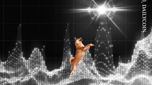 Shiba Inu Jumps Upon 1,699% Burn Hike, Support Fragile