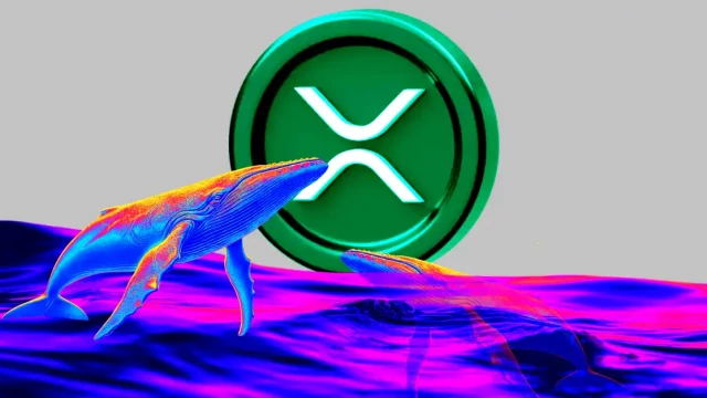 cover-image