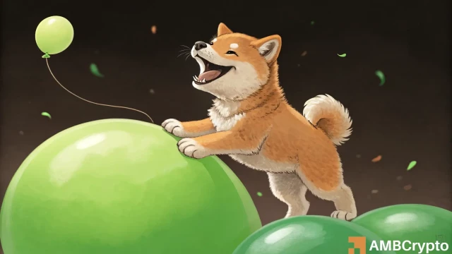 Shiba Inu: Why a short-term SHIB rally may follow 15% drop