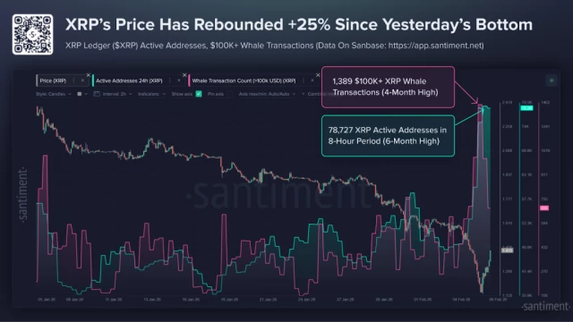 Crypto Market Today Rebounds as Bitcoin, XRP Rally After Panic Sell-Off