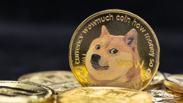 DOGE Enters Serie C as House of Doge Buys Stake in Triestina Club