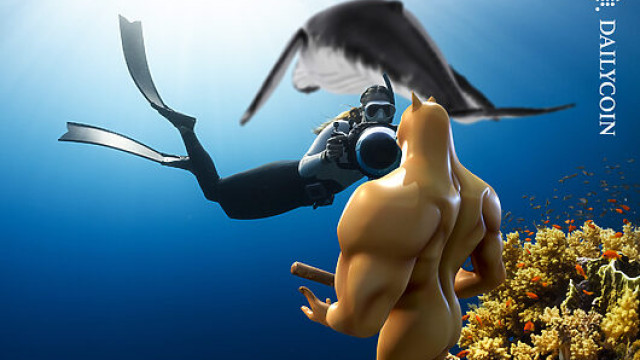 DOGE Whales Snap Up $330 Million As Bulls Eye Breakout