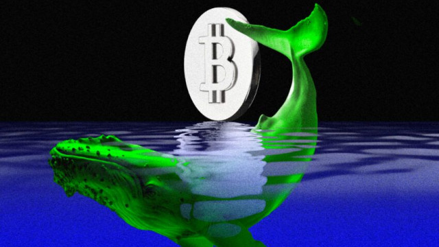Major Bitcoin Whale Offloads $3.4 Billion | Weekly Whale Watch