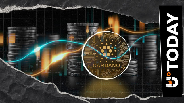 Binance Records Sudden 50,000,000 ADA Transfer, Cardano Price Reaction Unveiled