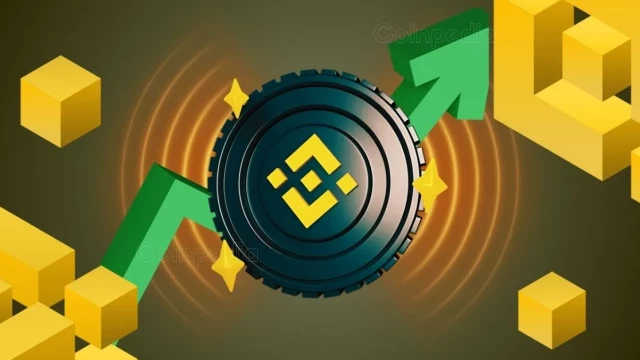 BNB Price Prediction: CryptoQuant Predicts BNB To Hit $1,000