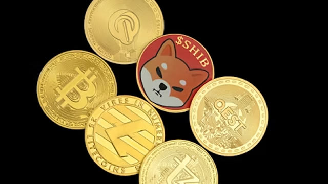 Shiba Inu Advocate Reassures Community About Shibarium's Ongoing Status