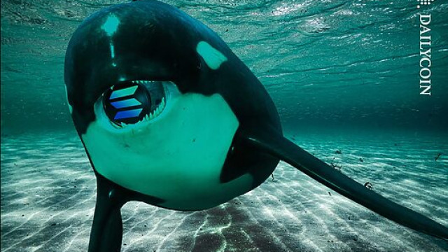 Solana Orca's $26M Long SOL Price Play Dwindles $2.7M!