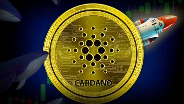 Cardano At Make-Or-Break Level As Whales Accumulate At 4-Month High