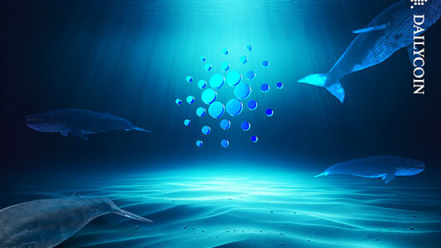 Cardano Jumps, USDCX Becomes Top Stablecoin As Midnight Nears Mainnet