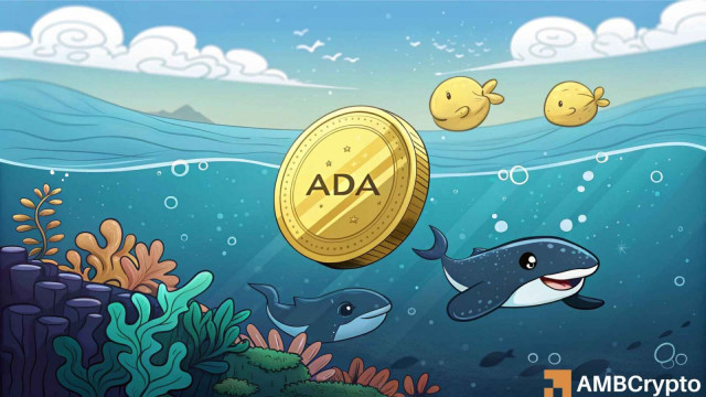 Cardano: $0.