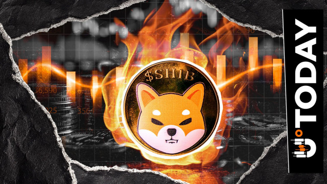 Shiba Inu Burn Rate up 676% on Thanksgiving: 61,833,188 SHIB up in Smoke