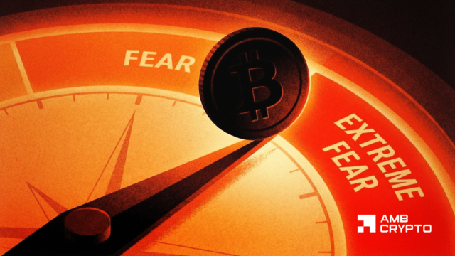 Bitcoin's price bottom in limbo: Why BTC–gold correlation matters now