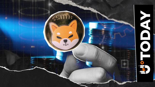 'Nothing to Do With SHIB Price': Shiba Inu Lead Ambassador Teases Update Ahead