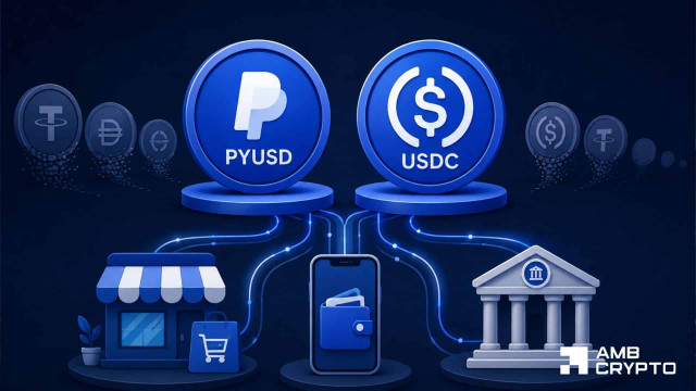 PayPal USD adds 863 wallets despite 24% market cap drop – Here's how!