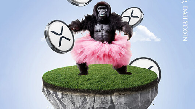 XRP Transfers Soar 300%: Institutions Move On-Chain