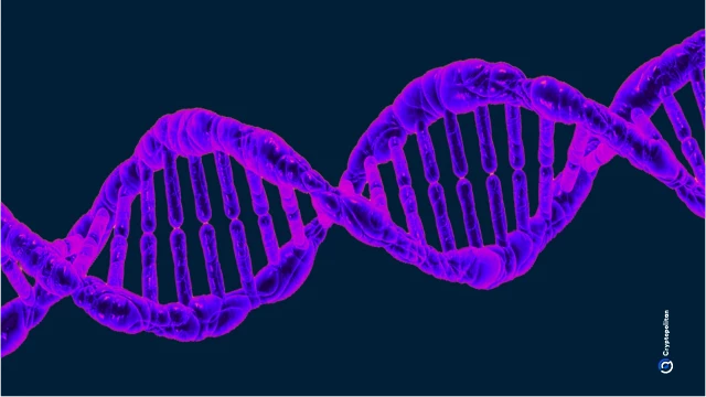 Researchers have engineered an enzyme called CMLase that removes a common age-related protein modification