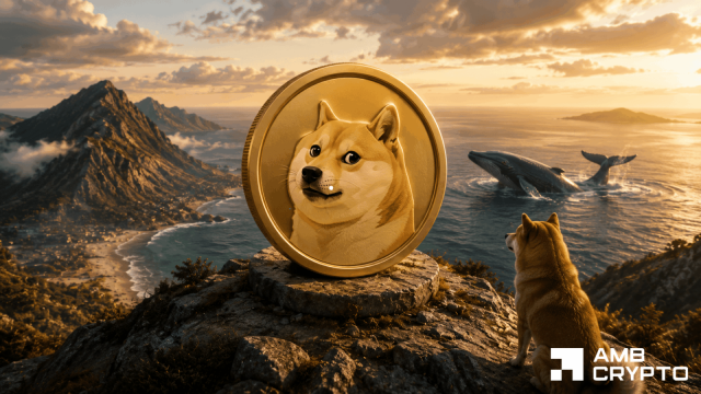 Dogecoin whales buy 240mln DOGE in a week – Has bottom finally formed?