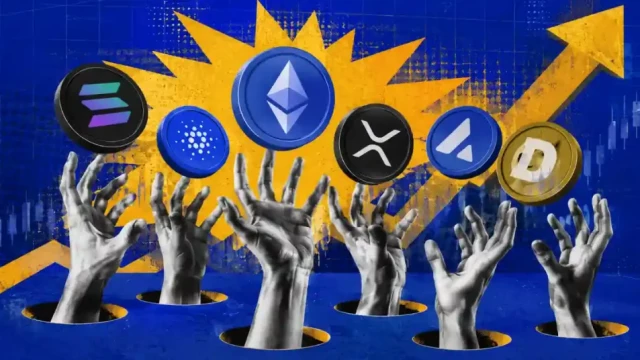 Top 16 Altcoins to Watch After Today's Crypto Rally