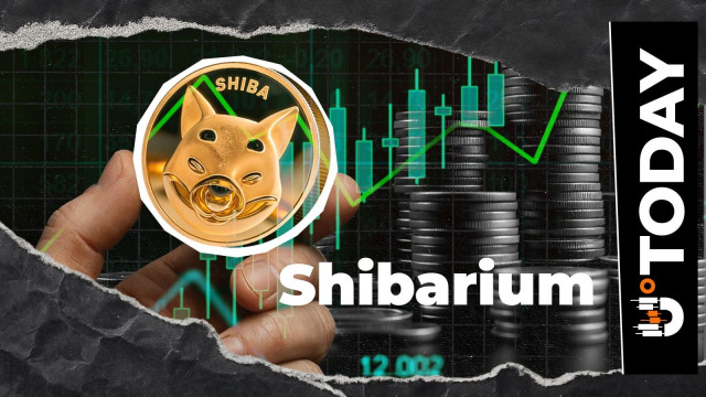 SHIB Alert: Shibarium Transactions Soar 122% as Explorer Reindexes
