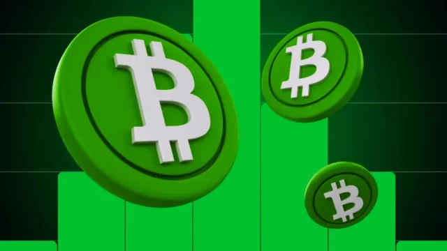 Bitcoin Cash Outpaces Bitcoin and Ethereum as Altcoin Rally Gains Steam