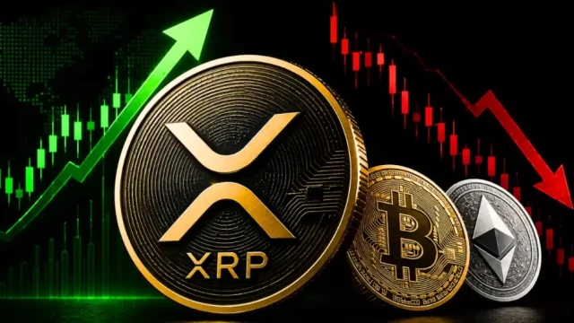 National Bank of Canada Reveals $330K XRP ETF and Bitcoin ETFs