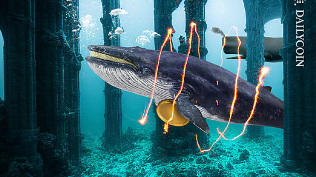 Whales Stir the Waters: Bitcoin's Rebound Looks Fragile