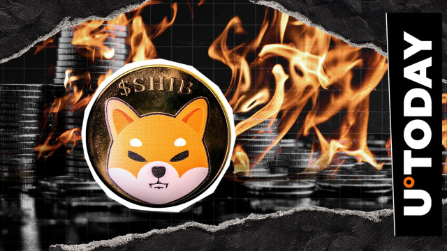 Shiba Inu (SHIB) Burn Rate at 0: Why Did It End?