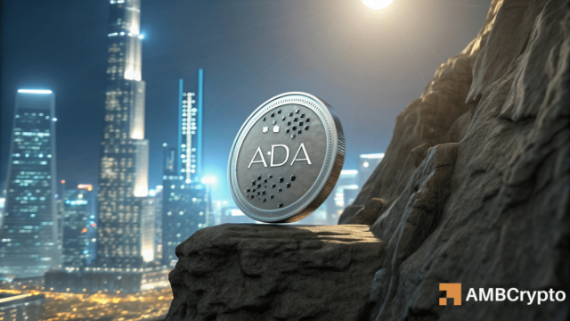 Cardano's $0.244 defense returns, but will on-chain activity pull ADA down?