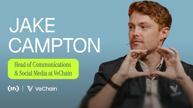 VET Holders: What to Do After VeChain's Hayabusa Upgrade