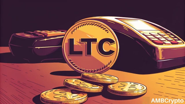 LTC hits multi-month lows, yet Litecoin usage keeps climbing – Explained