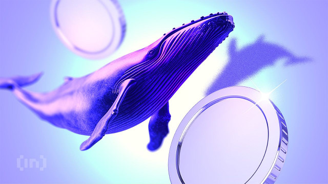 Featured image for article: What Crypto Whales Are Buying During the Early December Market Dip