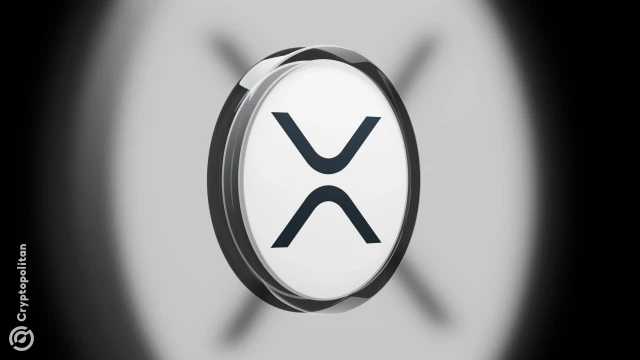 XRP real-world adoption surges as monthly transactions jump 65% in one year