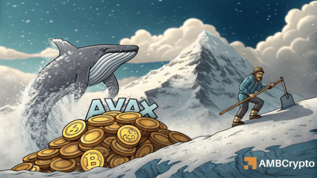 Avalanche: Examining impact of $6M whale activity on AVAX prices