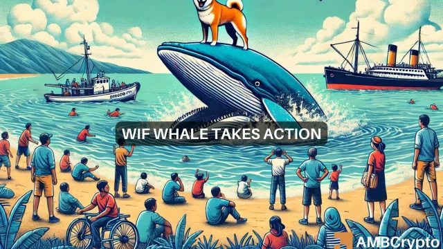 cover-image