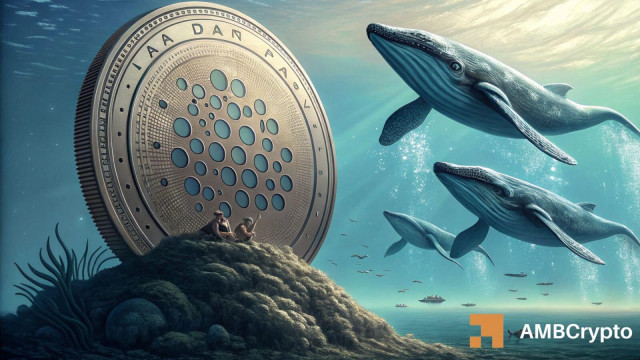 Cardano whales buy 220M ADA – Why is price still below $0.275?