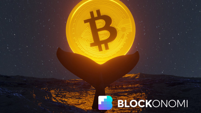 Los depósitos de Whale BTC aumentan a medida que se profundiza la caída de Bitcoin en junio