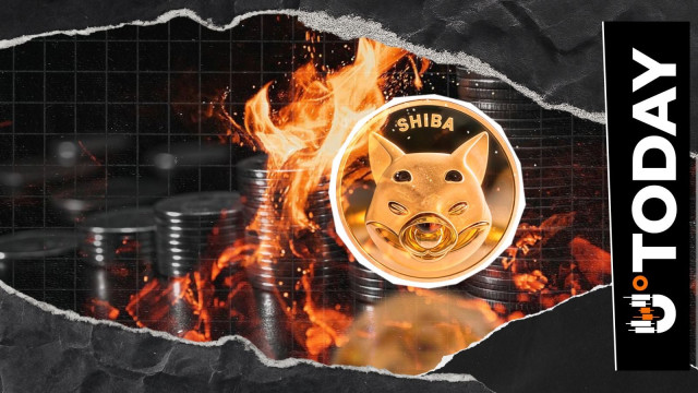 Shiba Inu Records Highest Daily Burn Rate Since November 2025