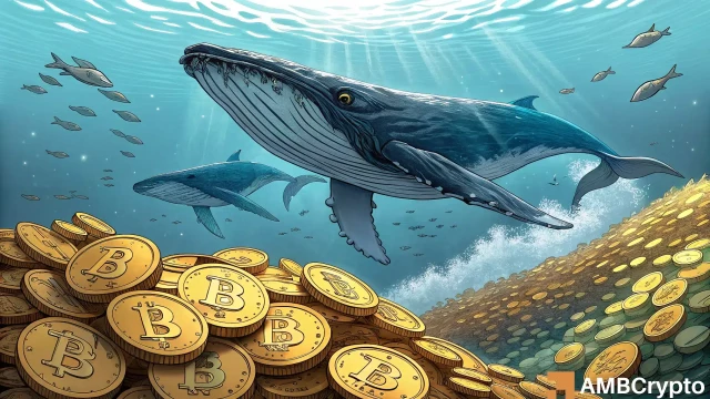 How Bitcoin's record accumulation could fuel a BTC price surge