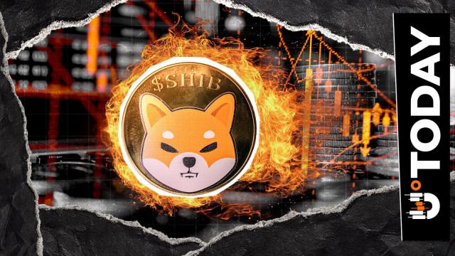 Shiba Inu (SHIB) Burn Hits 4.99 Million, Why Isn't Burn Rate Moving?