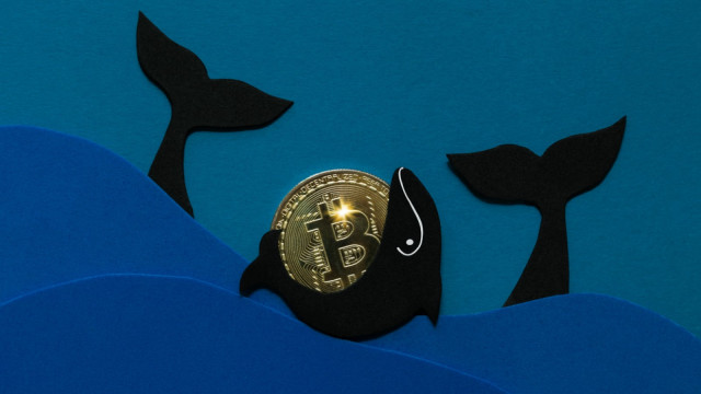Bitcoin Whale Wallets See Major Rebound
