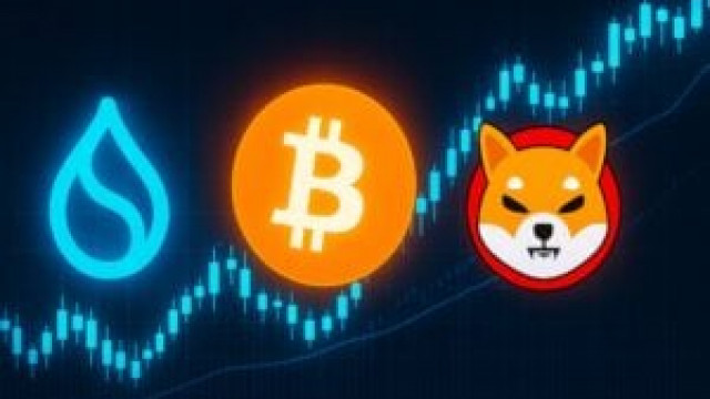 There is not only Bitcoin: analysis of Sui and Shiba Inu