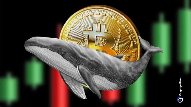 BTC whales are becoming cautious, moving away from both spot and derivative positions
